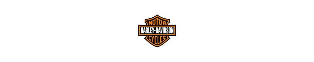 motos harley - AREA CUSTOM - Equipamiento Custom - Accesorios Custom - MOTOS CUSTOM y HARLEY DAVIDSON