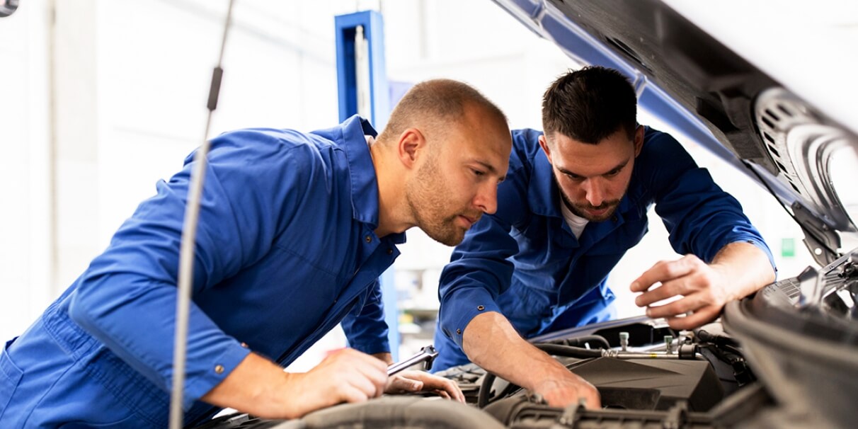 This is Second Post For Themevolty